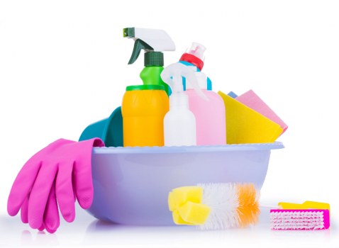 Steam carpet cleaning service for Kensington homes and period properties