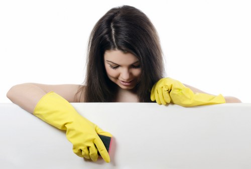 Deep cleaning treatment for pet odour removal on upholstery